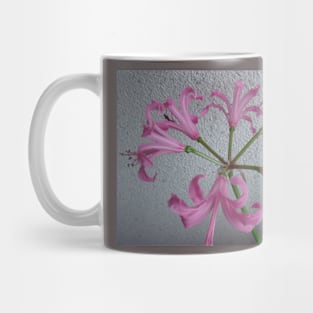 6 x Glockenblume in rosa - Mug